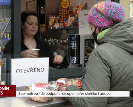 Zoo mohou lidé podpořit nákupem přes okénko i adopcí