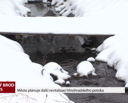 Město plánuje další revitalizaci Vinohradského potoka