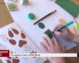 Po stopách zvířat s DDM Šikula