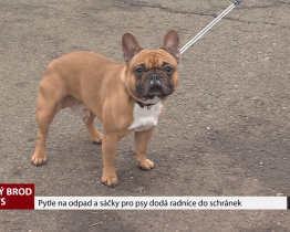 Pytle na odpad a sáčky pro psy dodá radnice do schránek