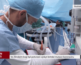 Ve Zlínském kraji byl potvrzen výskyt britské mutace koronaviru