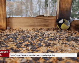 Naučte se hravě a snadno rozpoznávat ptáky