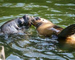 Zlínskou zoo podpořili lidé z celé republiky, dostala se z krize