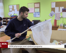 DDM připravuje nové výukové programy