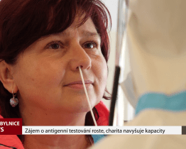 Zájem o antigenní testování roste, charita navyšuje kapacity