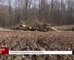 Zámeckou bažantnici čeká proměna