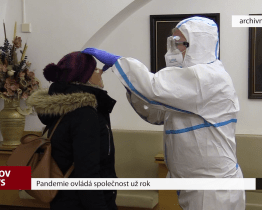 Pandemie ovládá společnost už rok