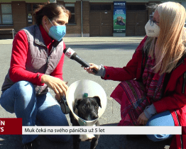 Muk čeká na svého páníčka už 5 let