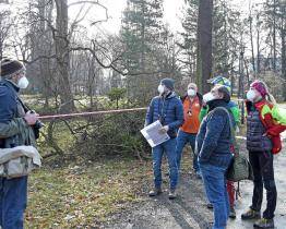 U zámku Kinských začala výsadba nových stromů