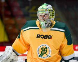 Hokejistům Vsetína skončila sezona, s Jihlavou prohráli 0:4 na zápasy