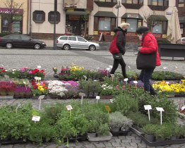 Na Masarykově náměstí už se zase prodává