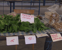 Tržnice Na stavidle je opět v provozu
