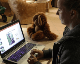 Při on-line výuce zavedou žáky za orangutany i tygry