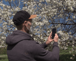 City Nature Challenge poprvé v Uherském Hradišti