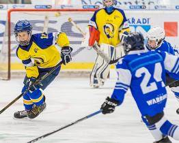 Mladí Berani i extraligoví hokejisté Zlína na konci května začnou s tréninky na ledě 