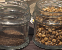 Osázejte si zahradu semínkovou bombou