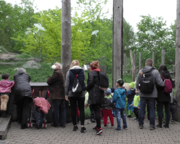 Zoo uspořádala Den Afriky