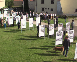 Zahradu Panského domu zaplnily návrhy na nové Mariánské náměstí