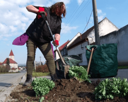 Ulice pokvetou všemi barvami
