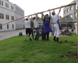 Všechny tři kovidové máje jsou pokácené