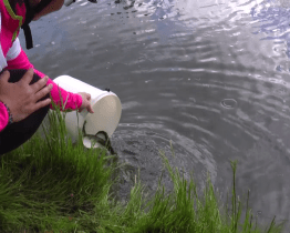 Celostátní akce Do práce na kole nabídla o víkendu zajímavý program