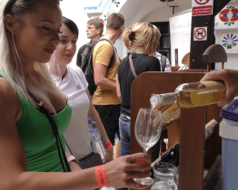 Vinaři znovu otevřou sklepy pro turisty