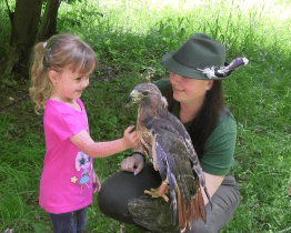 DDM Šikula uspořádal pro děti Lesohrátky