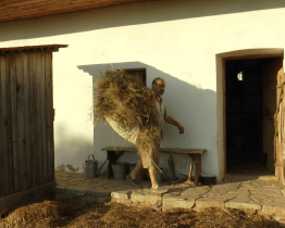 Rochus pod hvězdami zářil nad městem