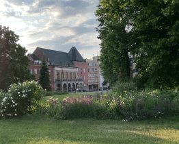 Město investuje stále více peněz do květinové výzdoby