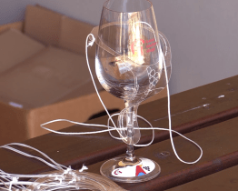 Víno lákalo návštěvníky ze dvou republik