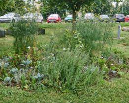 Lidmilova louka dělá radost kolemjdoucím