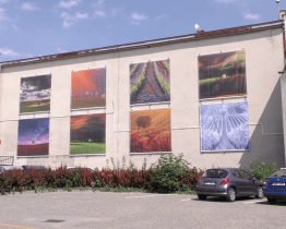 Miroslava Tichého nahradilo Moravské Toskánsko