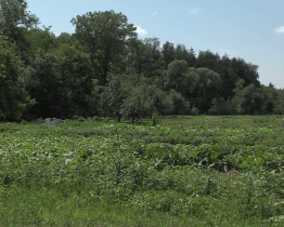 Město získalo územní rozhodnutí pro obchvat Těšova a Újezdce