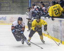 Berani v přípravě přemohli Vítkovice 4:1, Vsetín stejným výsledkem prohrál 