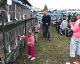 Lužice zažily Den kopce i výstavu králíků