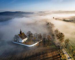 Hledá se nejkrásnější alej roku!