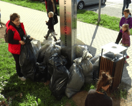 Akce Ukliďme svět a Česko se zúčastnilo půl stovky dobrovolníků