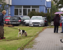 Blíží se doba splatnosti poplatků za odpady a psy