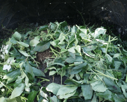 Přes půl tisíce kompostérů už slouží zahrádkářům