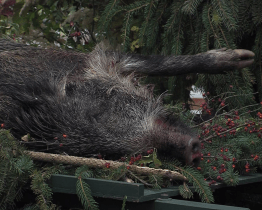Ve městě se poprvé uskutečnila myslivecká mše