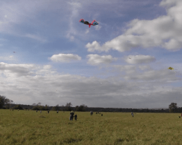 Na loukách létali draci