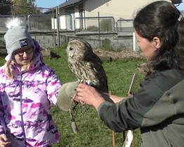 Ochránci přírody uspořádali Recyklohrátky
