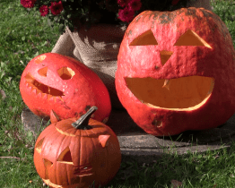 V hlavní roli dýně. V infocentru mají novou podzimní výstavu