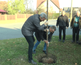 Lípa bude připomínat výročí první zmínky o městě