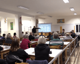 Město představilo plán na obnovu zeleně po tornádu