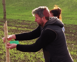 Alej života se rozrostla o další stromy