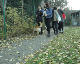 Studenti Univerzity Tomáše Bati se zapojili do Dne laskavosti 