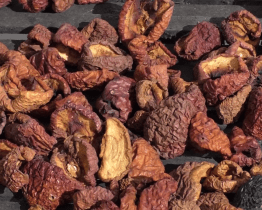 Výstava Někdo to rád sušené