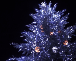 V Uherském Hradišti se v tichosti rozzářil vánoční strom