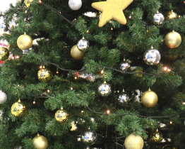 Strom splněných přání plní tužby dětí bez rodin i letos 